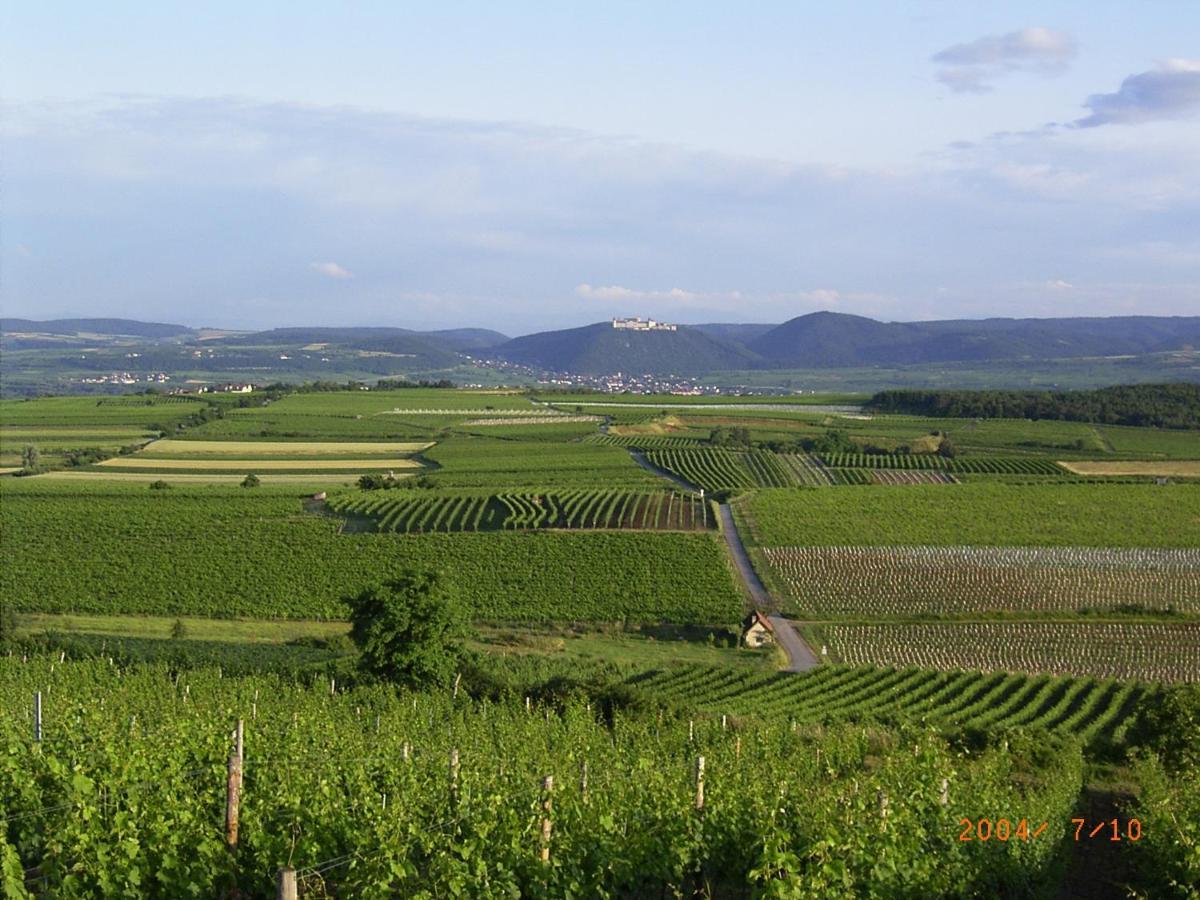 Asbacher Klosterkeller Stratzing Esterno foto